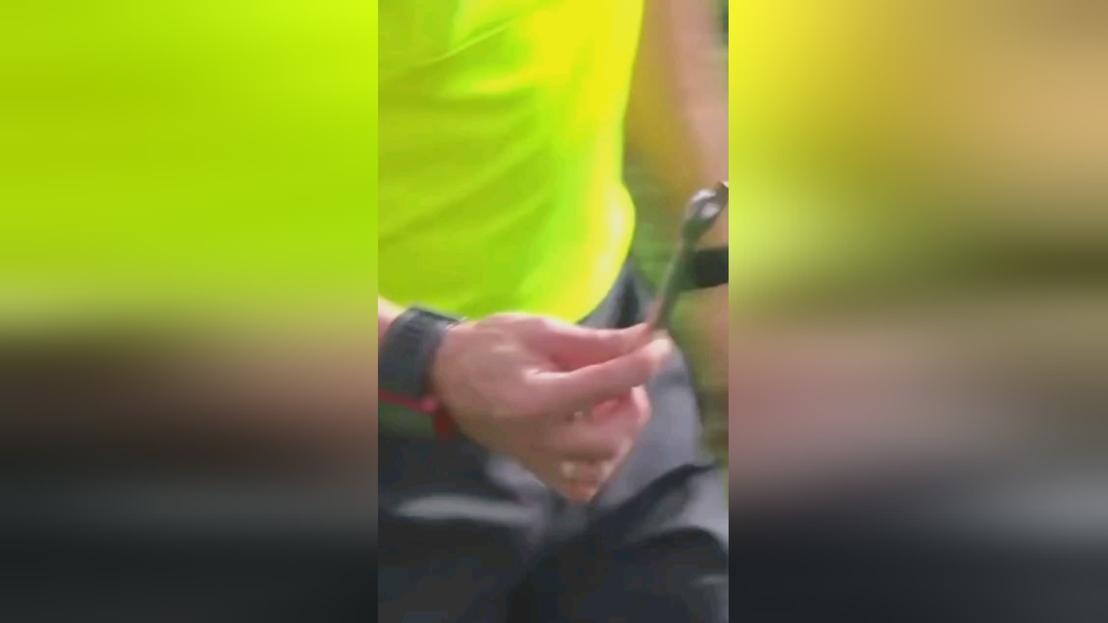 力和竞争力